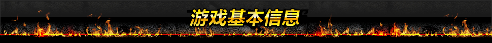 游戏基本信息