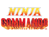 NINJA COMMANDO