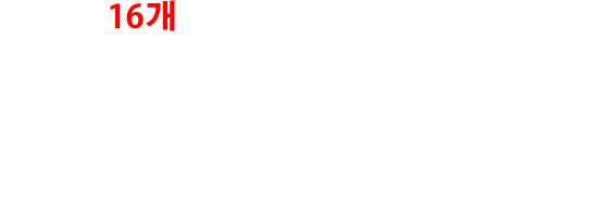 총 16개의 인기 캐릭터들이 격돌!