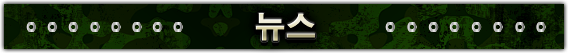 뉴스