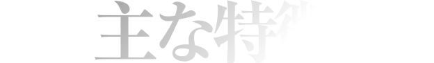 主な特徴