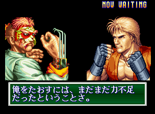 龍虎の拳2