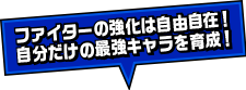 ファイターの強化は自由自在！自分だけの最強キャラを育成！