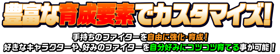 豊富な育成要素でカスタマイズ！ 手持ちのファイターを自由に強化・育成！好きなキャラクターや、好みのファイターを自分好みにコツコツ育てる事が可能！