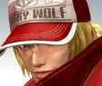 TERRY BOGARD