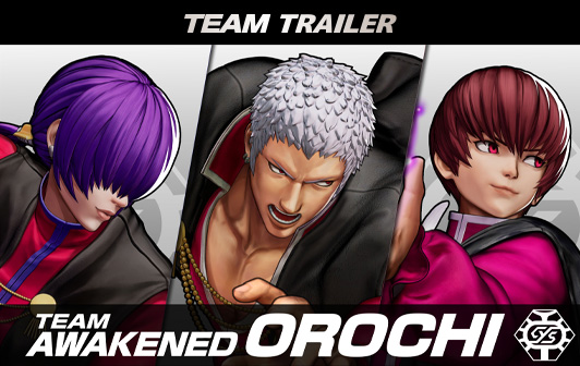 The King Of Fighters Xv Snk