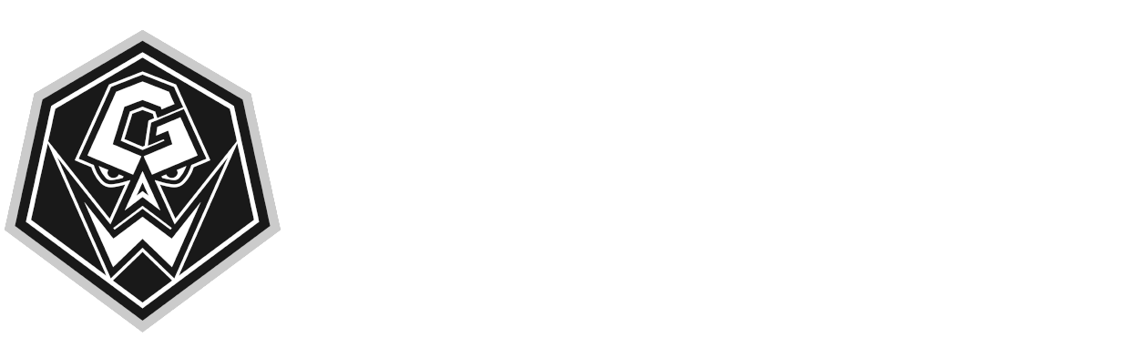 TEAM NAME