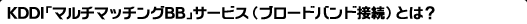 KDDIu}`}b`OBBvT[rXiu[hohڑjƂ́H