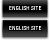 ENGLISH SITE
