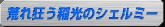 rꋶ̃VF~[