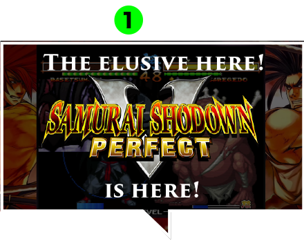 Also... The illusive SAMURAI SHODOWN 5 PERFECT is here!