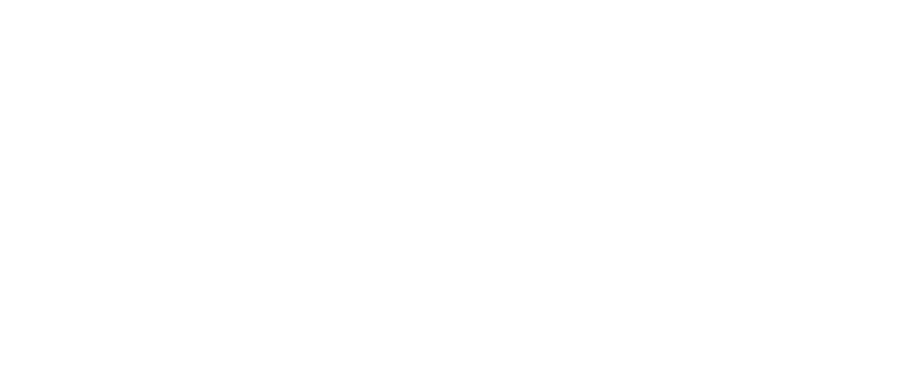 Wwise